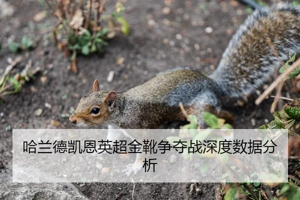 哈兰德凯恩英超金靴争夺战深度数据分析
